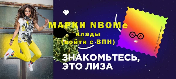 хмурый Алзамай