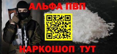 стафф Кингисепп