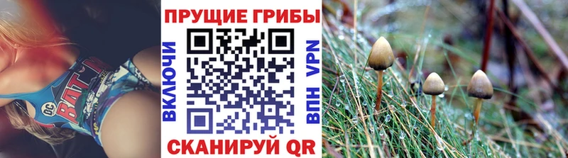 Псилоцибиновые грибы MAGIC MUSHROOMS сколько стоит Лангепас