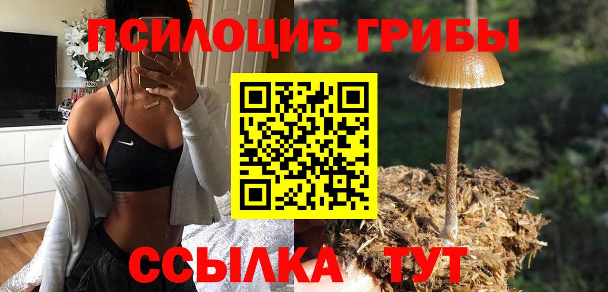 наркота  Лангепас  Галлюциногенные грибы MAGIC MUSHROOMS 